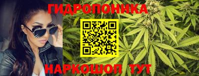 скорость Будённовск
