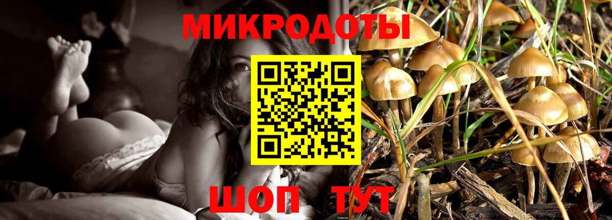 Псилоцибиновые грибы Cubensis Тольятти